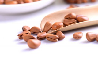 松子上火还是降火（松子上火么）