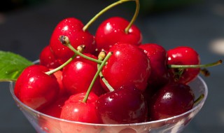 车厘子放冰箱需要密封吗 车厘子放冰箱需要密封吗多久