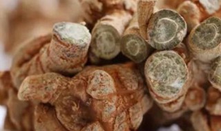 三七菜和田七菜的区别 三七菜怎么吃最好 视频