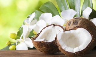 椰子的功效与作用禁忌都有哪些（椰子的功效与作用及禁忌）