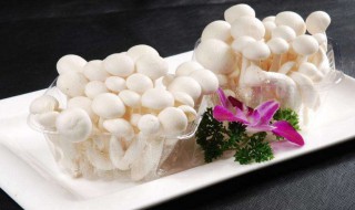 白菌的食用禁忌（白菌的吃法）