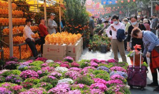 父亲节送花好吗 父亲节送花送什么花