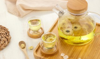 菊花蒲公英茶能天天喝吗 菊花蒲公英可以天天喝吗