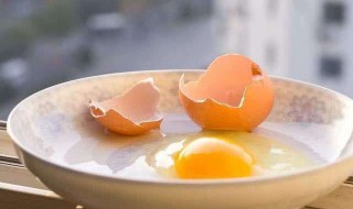 鸡蛋的热量 鸡蛋的热量脂肪蛋白质是多少