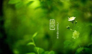 清明节由来（清明节由来的故事20字）