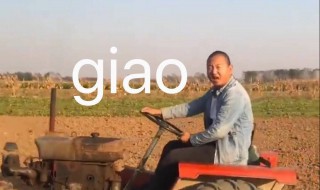 giao是什么意思 你给我里giaogiao是什么意思