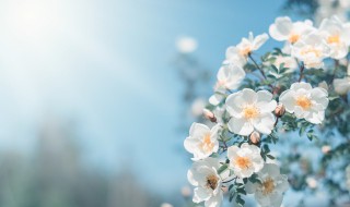 九月九祝福语大全 九月九祝福的话