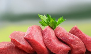 最简单的家常肉末酱的做法窍门