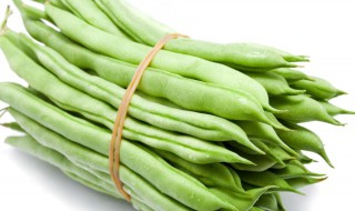 怎么做家常四季豆 四季豆怎么做简单