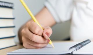 般若艺姬纹身含义 般若艺姬图纹身