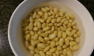怎么把干黄豆快速泡涨 怎么把干黄豆快速泡涨打豆浆