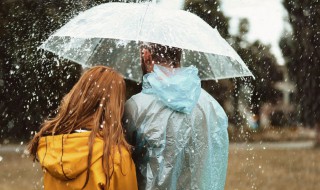 雨的特点 雨的特点及精神品质