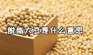 脱脂大豆是什么意思（生抽非脱脂大豆是什么意思）