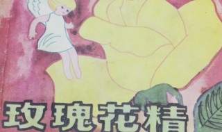 玫瑰花精讲的什么 玫瑰花精具体内容