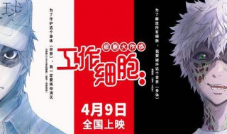 工作细胞细胞大作战讲的什么 工作细胞细胞大作战好看吗