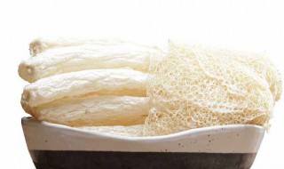 竹荪放冰箱可以保存多久 竹荪放冰箱可以保存多久啊