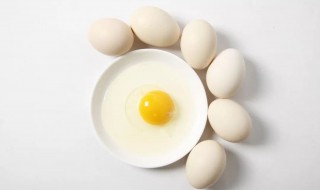 为什么美国的鸡蛋是白色的 人造蛋是真的存在吗