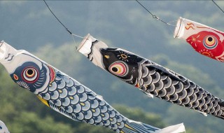 日本的鲤鱼旗有什么含义 日本鲤鱼旗代表什么意思