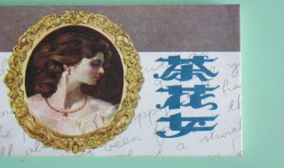 茶花女简介（茶花女简介100字）