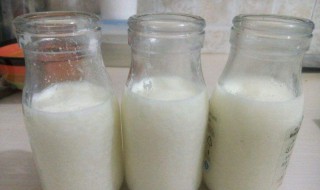 酸奶的制作方法 酸奶的制作方法 简单方便
