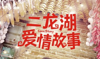 二龙湖爱情故事剧情（二龙湖爱情故事剧情介绍(全14集）