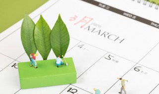 3月12日是什么节日 3月12日是什么节日用英语怎么说