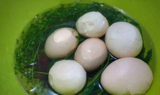 地米菜煮鸡蛋的作用与功效 地米菜煮鸡蛋的作用与功效禁忌