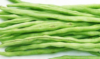 四季豆不能和什么一起吃（四季豆不能和什么一起吃香哈菜谱）