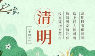 四月四日是什么节日（四月四日是什么节日啊）