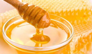 蜂蜜减肥法 蜂蜜减肥法反弹厉害