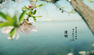 清明节是几月几日农历（清明节是几月几日农历还是阳历）