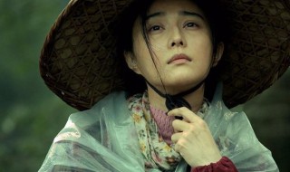 我不是潘金莲故事简介（我不是潘金莲故事简介概括）