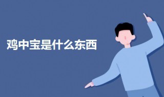 鸡中宝是什么东西（鸡中宝是什么东西的英文）