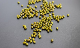 做绿豆汤绿豆要泡吗 做绿豆汤绿豆需要泡吗