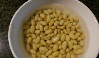 黄豆泡不开是怎么回事（黄豆泡不开是什么原因）