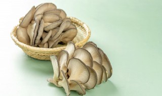 怎么做孜然蘑菇（怎么做孜然蘑菇窍门）