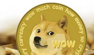 狗狗币是什么（狗狗币是什么时候发行的）