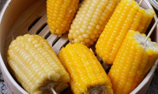 玉米是放水里煮还是放上面蒸 玉米放在水里煮好吃还是蒸好吃