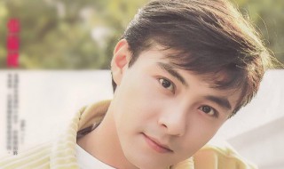 张卫健演的张君宝是什么电视剧（张卫健演的张君宝是什么电视剧里的人物）