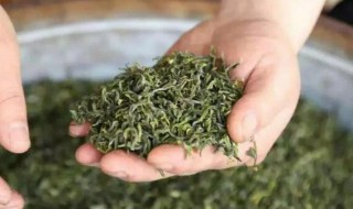 哪些茶叶是绿茶 哪些茶叶是绿茶名品