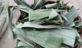 粽叶泡多长时间好 粽叶泡多长时间好喝