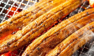 死掉的河鳗可以吃吗 死掉的河鳗可以吃吗视频