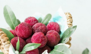 杨梅冰冻后还能吃吗 杨梅冷冻后