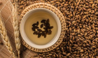 大麦茶是凉性还是热性 大麦茶是凉性还是热性茶