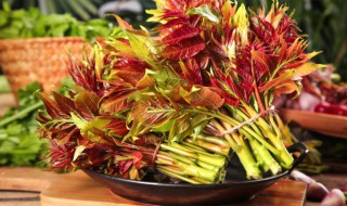 香椿直接冷冻可以吗 香椿直接冻冰箱行吗