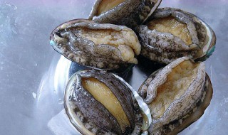 新鲜鲍鱼怎么处理好 新鲜鲍鱼怎么处理好吃