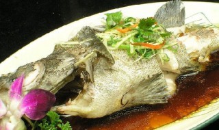 清蒸石斑鱼怎么做好吃（清蒸石斑鱼怎么做好吃视频）