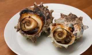 海螺变紫色还能吃吗 海螺变紫色还能吃吗图片