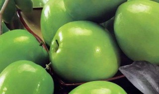 青枣什么季节吃最好（青枣什么时候最好吃）