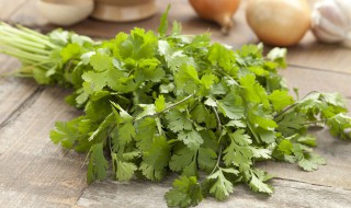 如何挑选好的香菜（香菜怎么选种）